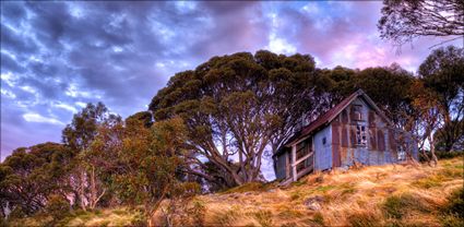 Cope Hut - VIC T (PBH3 00 34372)